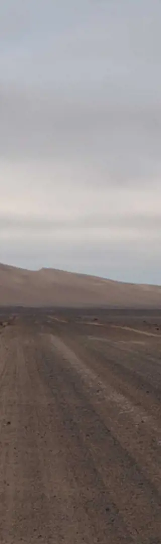 Eine neblige Fahrt durch die Skeletton Coast